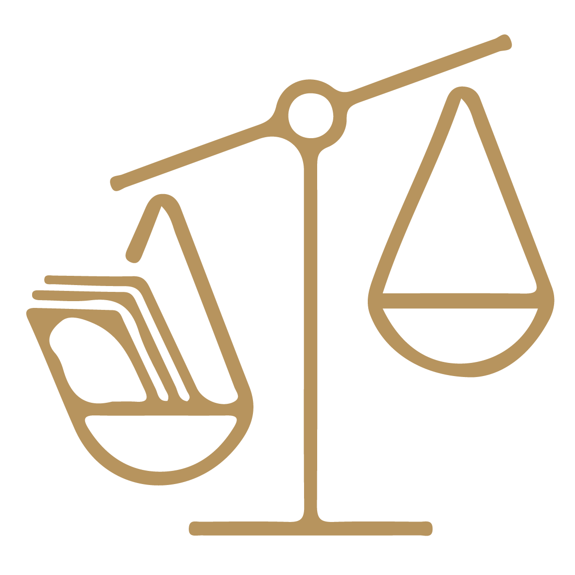 Judicial and Legal Representation before Courts